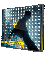 5.cd_kepmaradsz.gif
